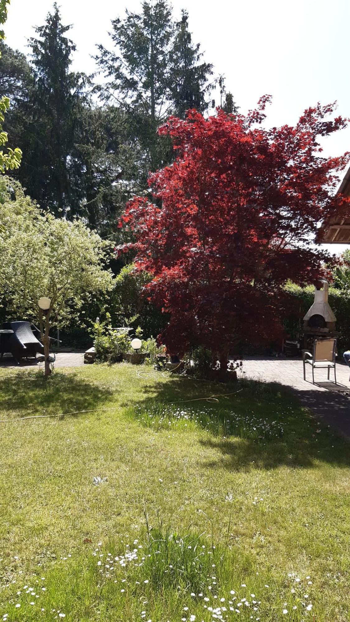 Ferienwohnung Luise, Gemuetlich, Freundlich Und Ganz Nah An Berlin Oranienburg Eksteriør bilde